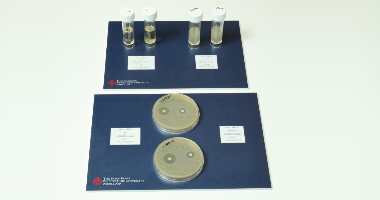 PolyU developed a new class of antibiotic candidates, Nusbiarylins, with much more effective antibacterial abilities than the commonly used antibiotics, fighting against multi-drug resistant superbugs including methicillin-resistant S. aureus (MRSA)