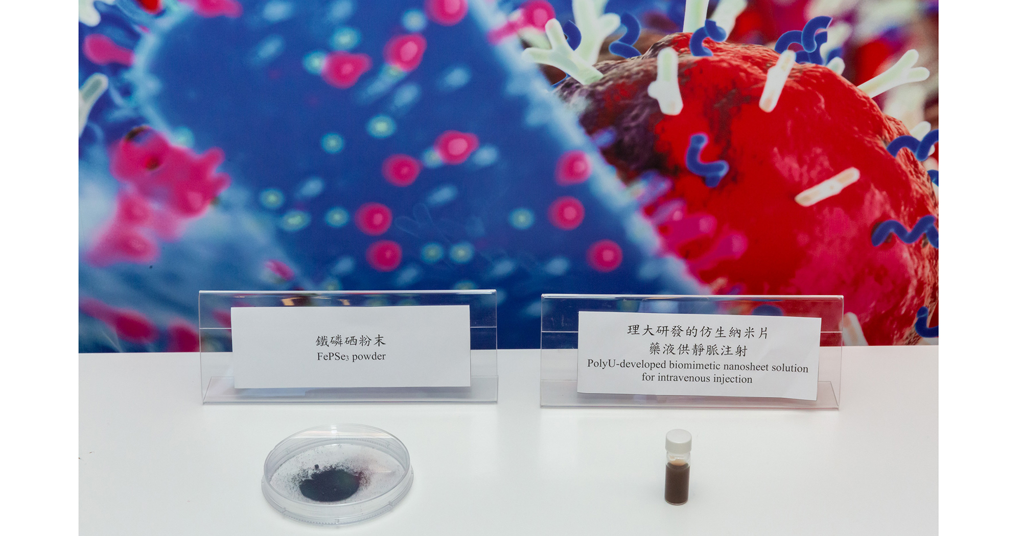 PolyU-developed biomimetic nanosheet solution for intravenous injection (right) and FePSe3 powder (left)