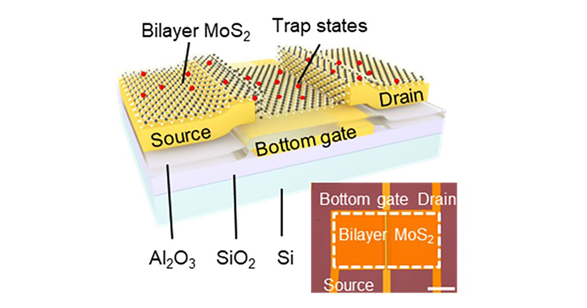 The researchers introduced “charge trap states” to the dual layer for the storage of light information and the control of the device’s photosensitivity.
