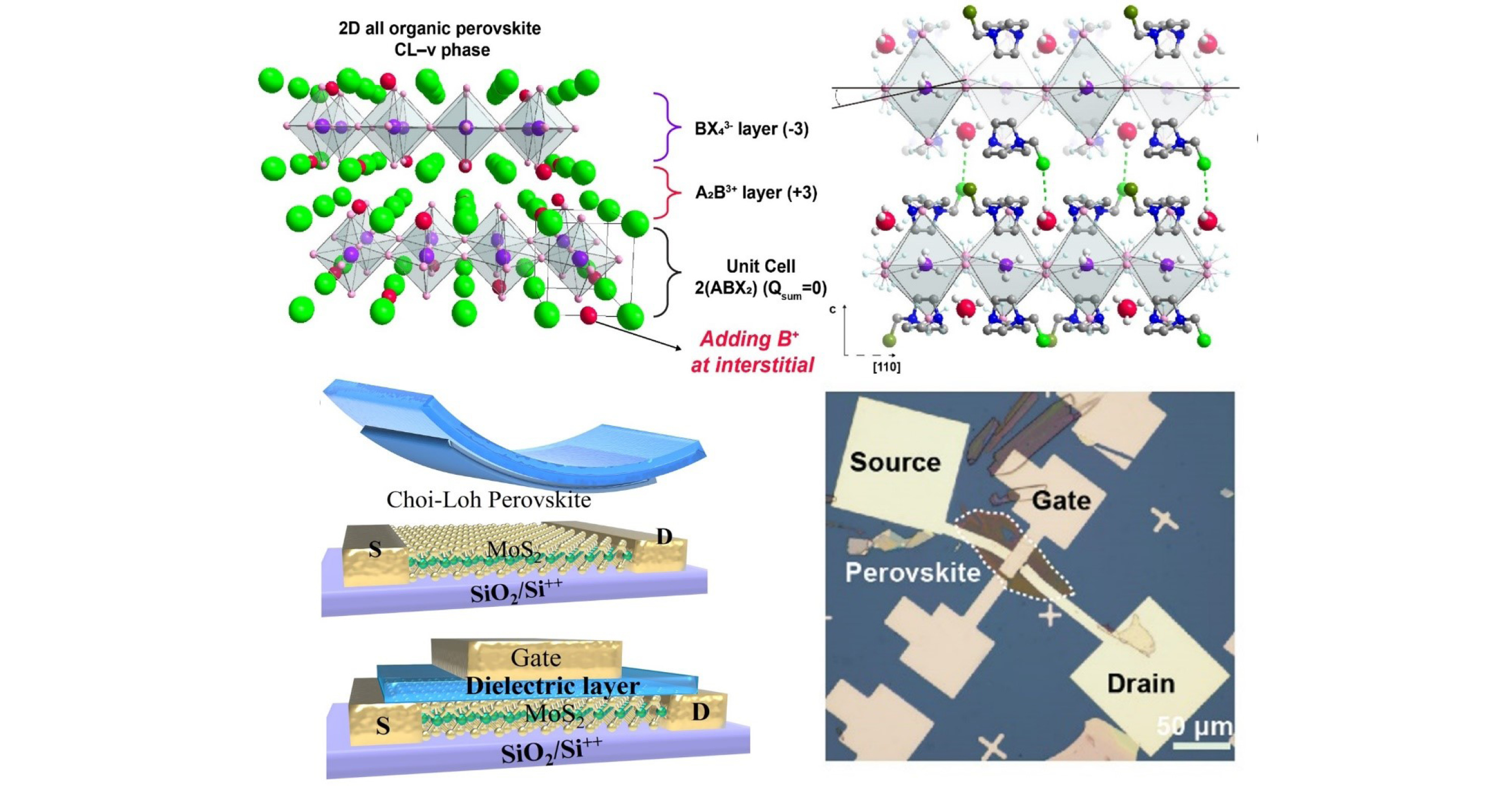 photo resize 2000x10504