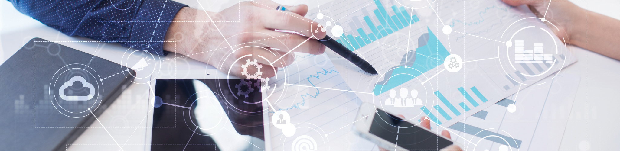 Page banner_2050x500_EIS