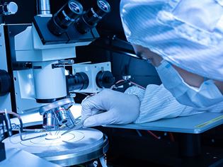 PolyU Expert Directory