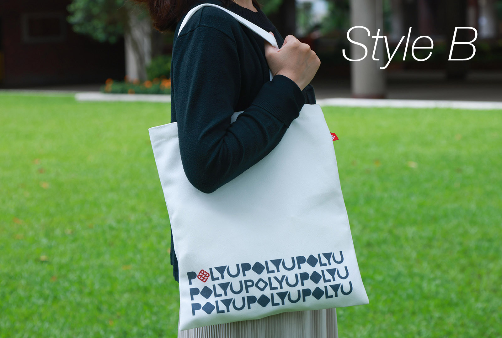 Canvas Tote Bag Content 2_B