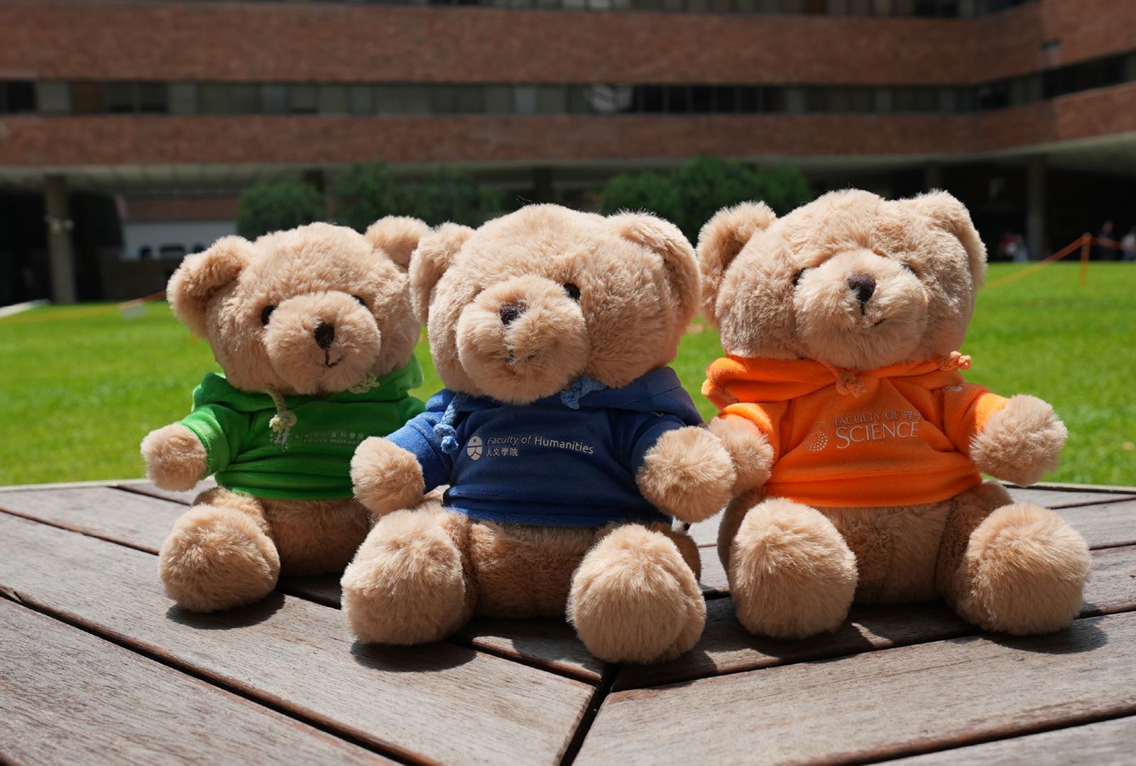 Faculty colors_2