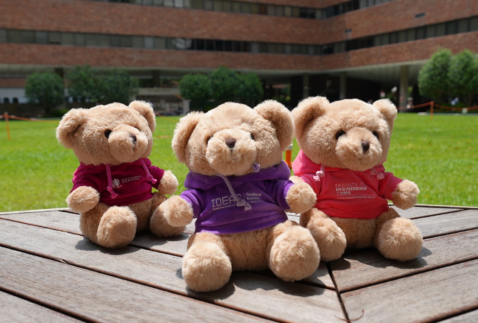 Faculty colors_3