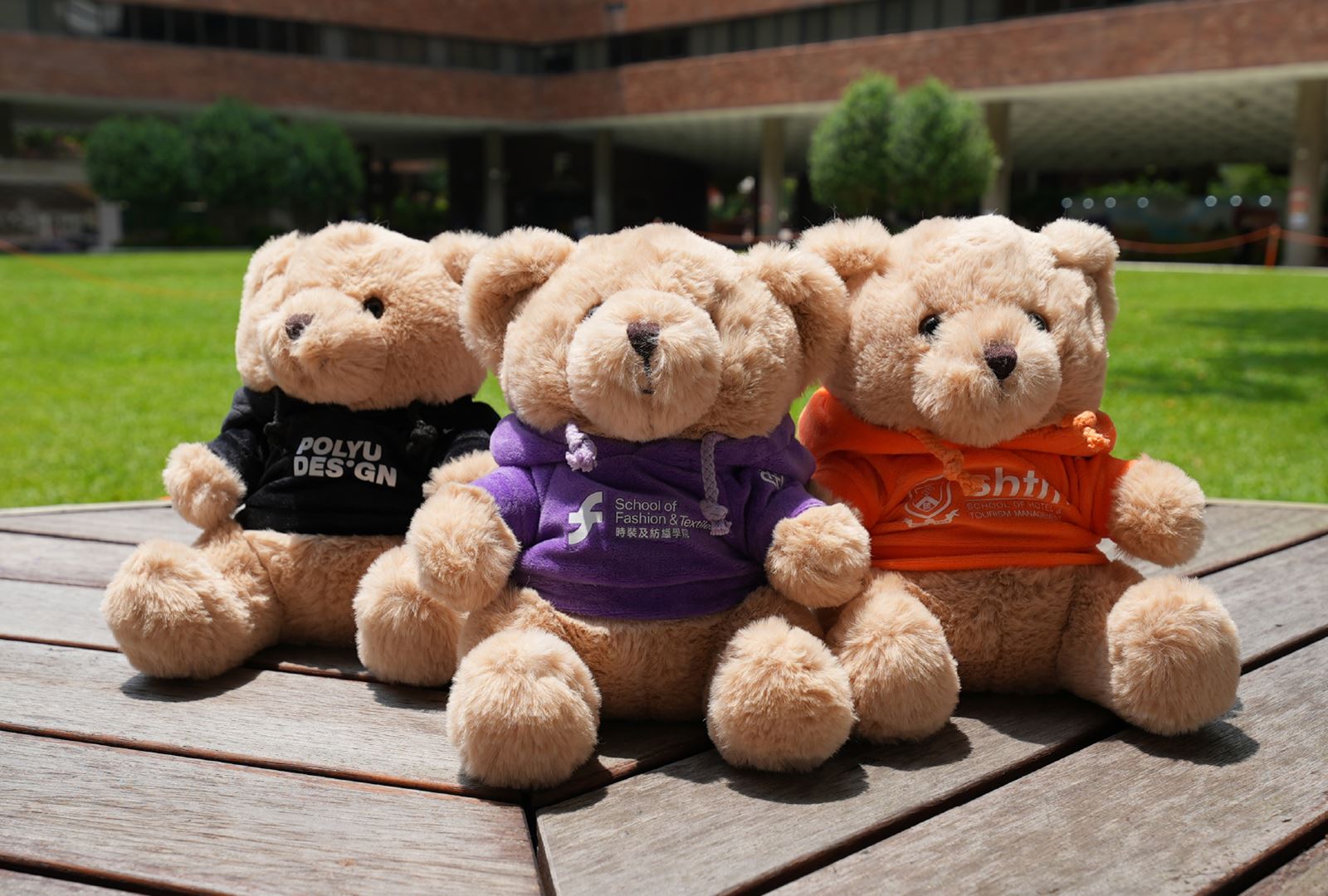 Faculty colors_4