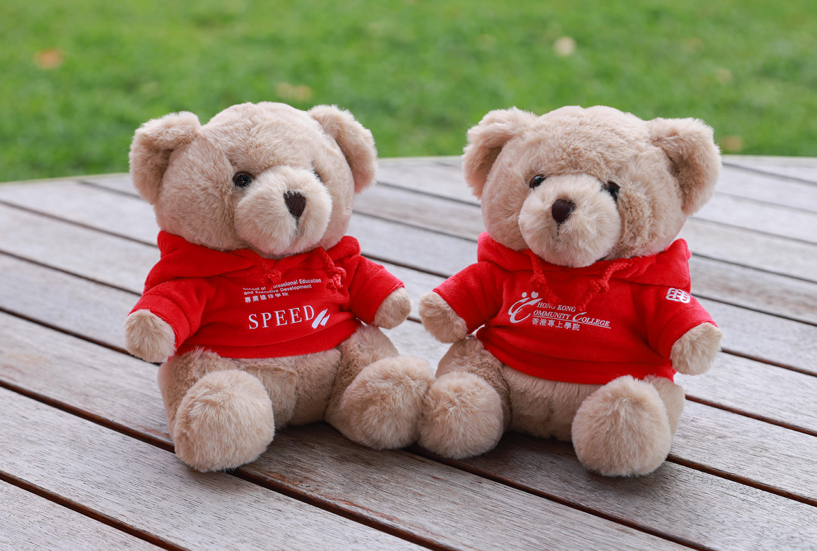 PolyU Teddy Bear Plush_Content06