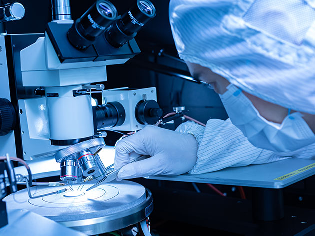 PolyU Expert Directory