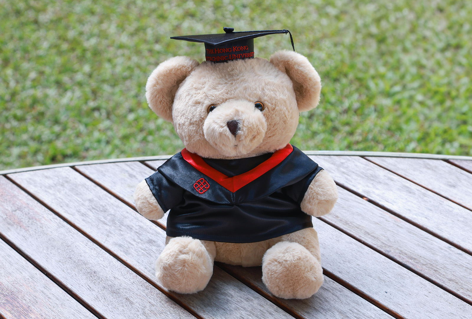 30cm Graduation Bear_Content01