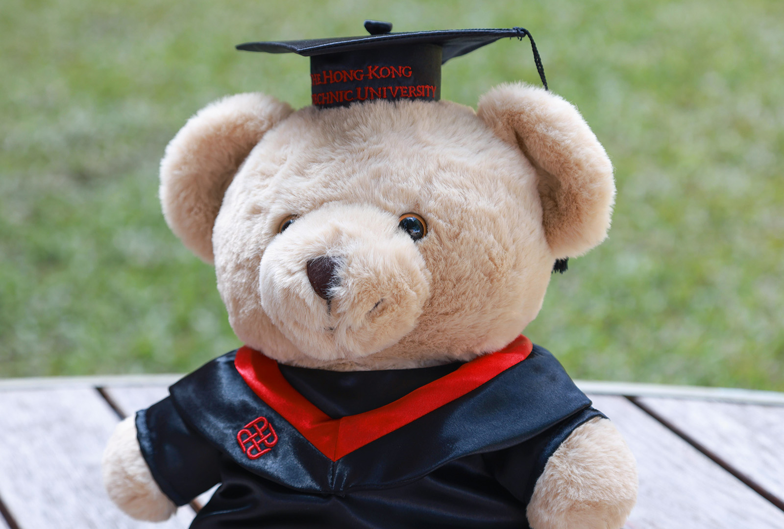 30cm Graduation Bear_Content02