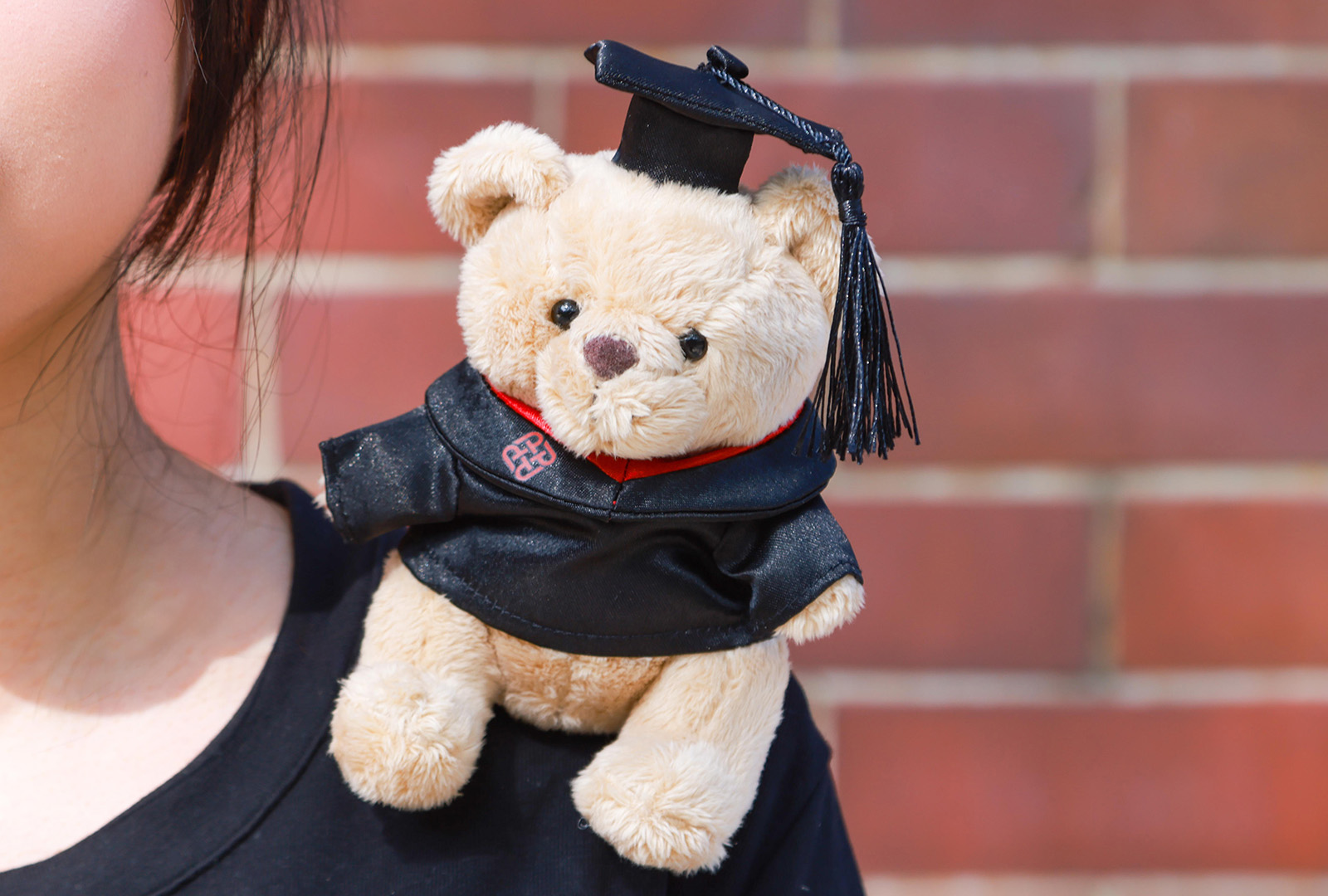 Magnetic Shoulder Bear_Content01