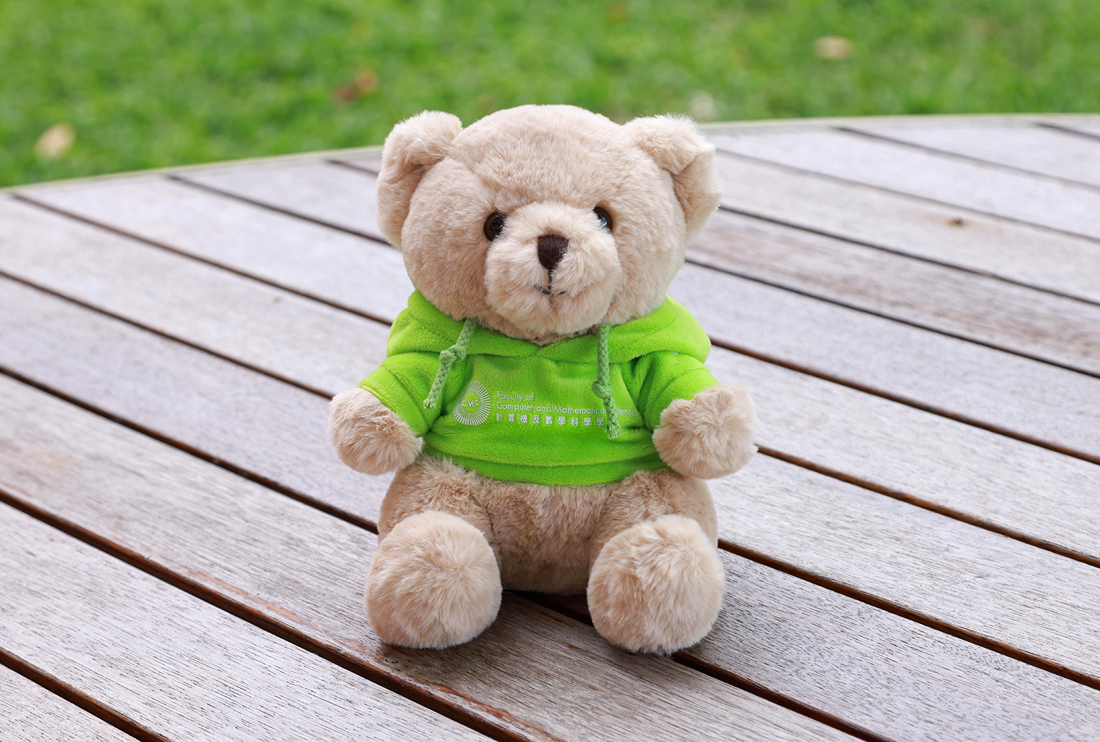 PolyU Teddy Bear Plush_Content05