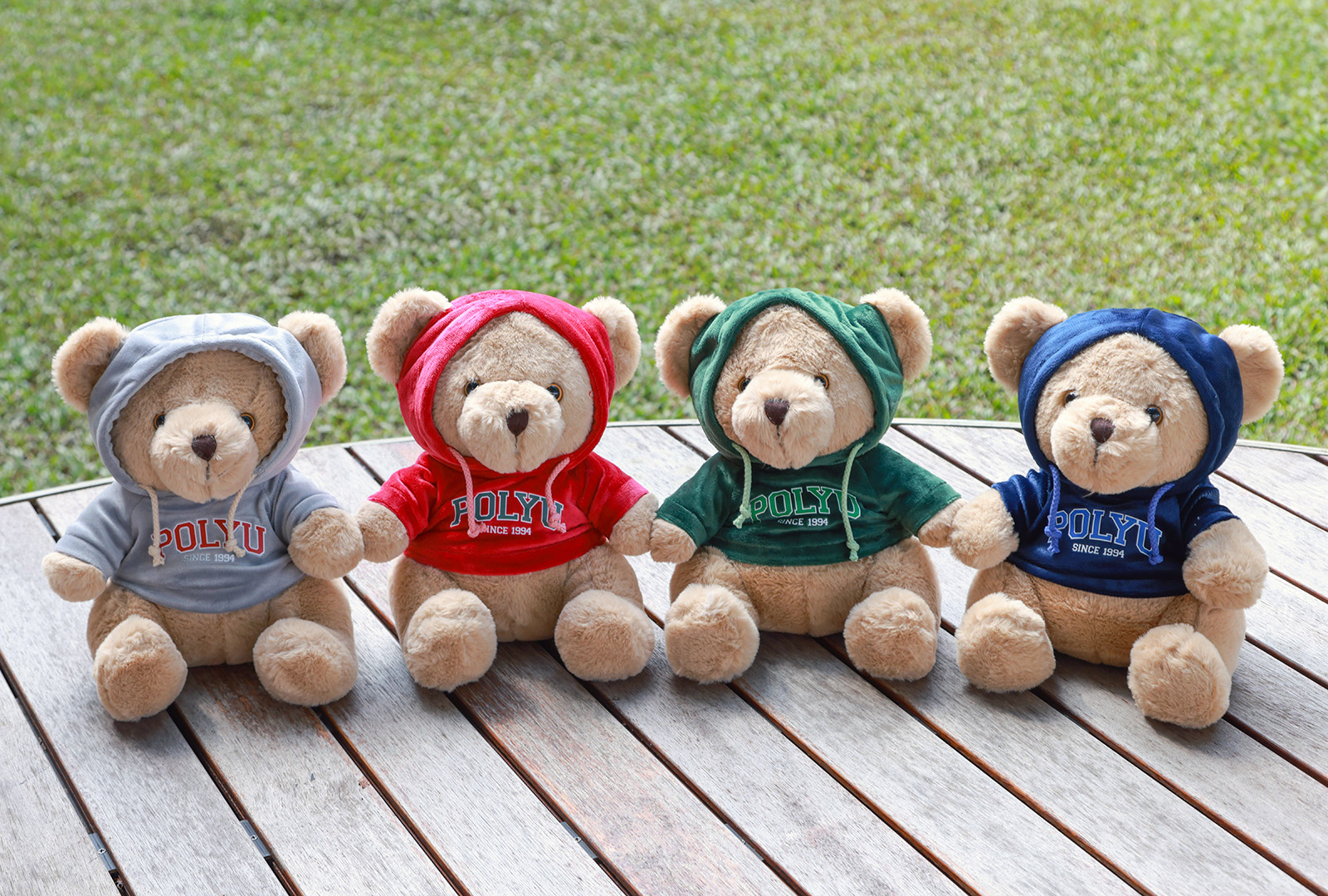 30cm Hoodie Bear_Content01