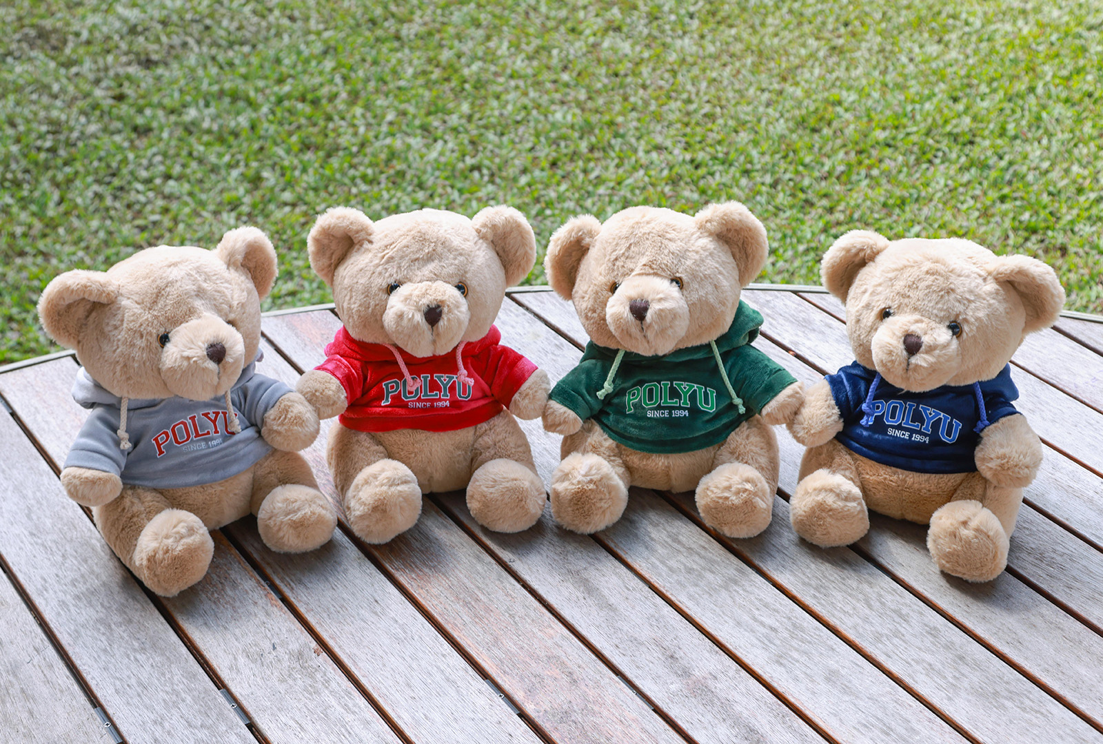 30cm Hoodie Bear_Content02