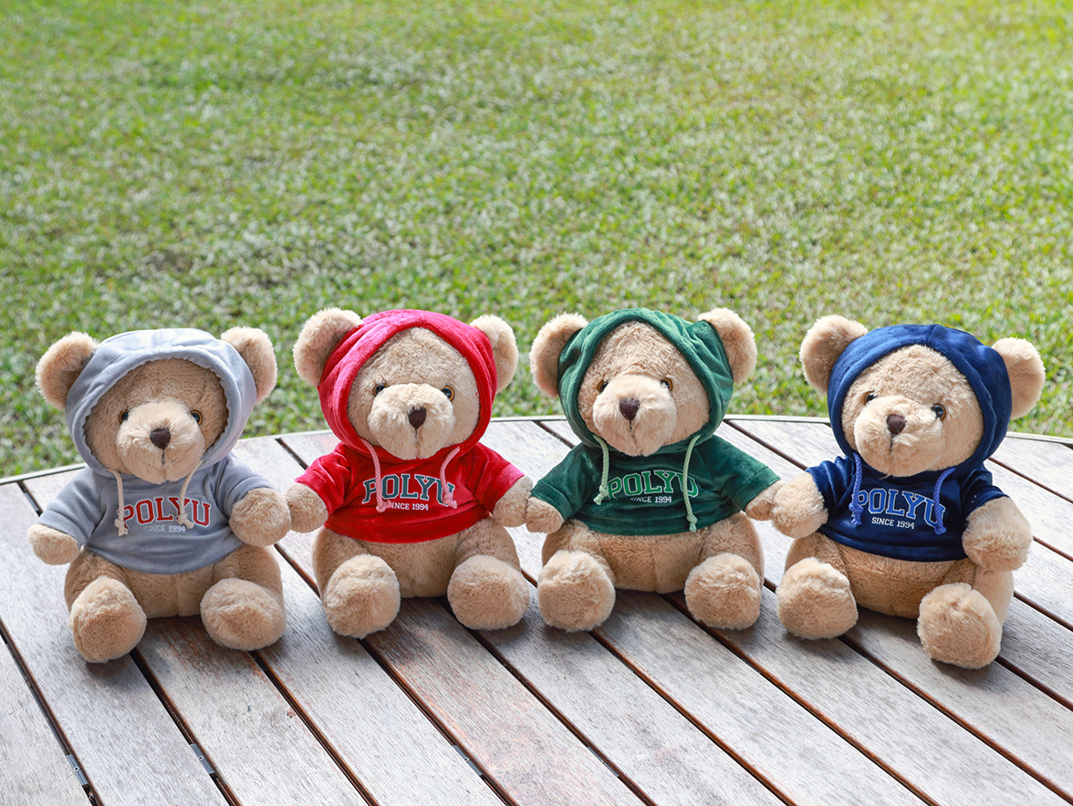 30cm Hoodie Bear_Main02