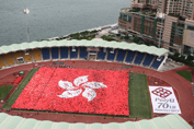 Flags of Harmony and Unity