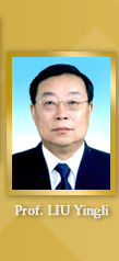 Professor Liu Yingli