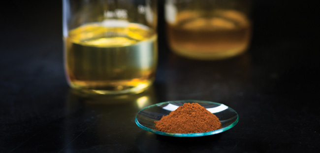 Biodiesel and catalyst 