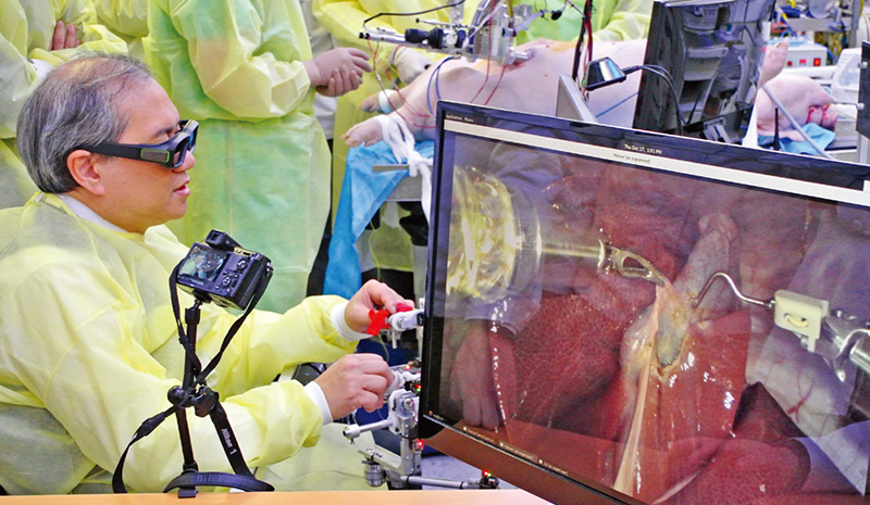 Animal surgical experiments using the NSRS have been successfully carried out.