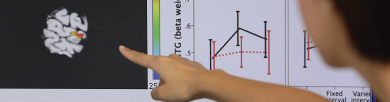 Cantonese-speaking control participants displayed significant brain activation in the right STG when listening to Cantonese words with tone differences.