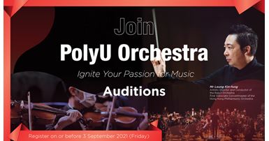 Orchestra Auditions website banner