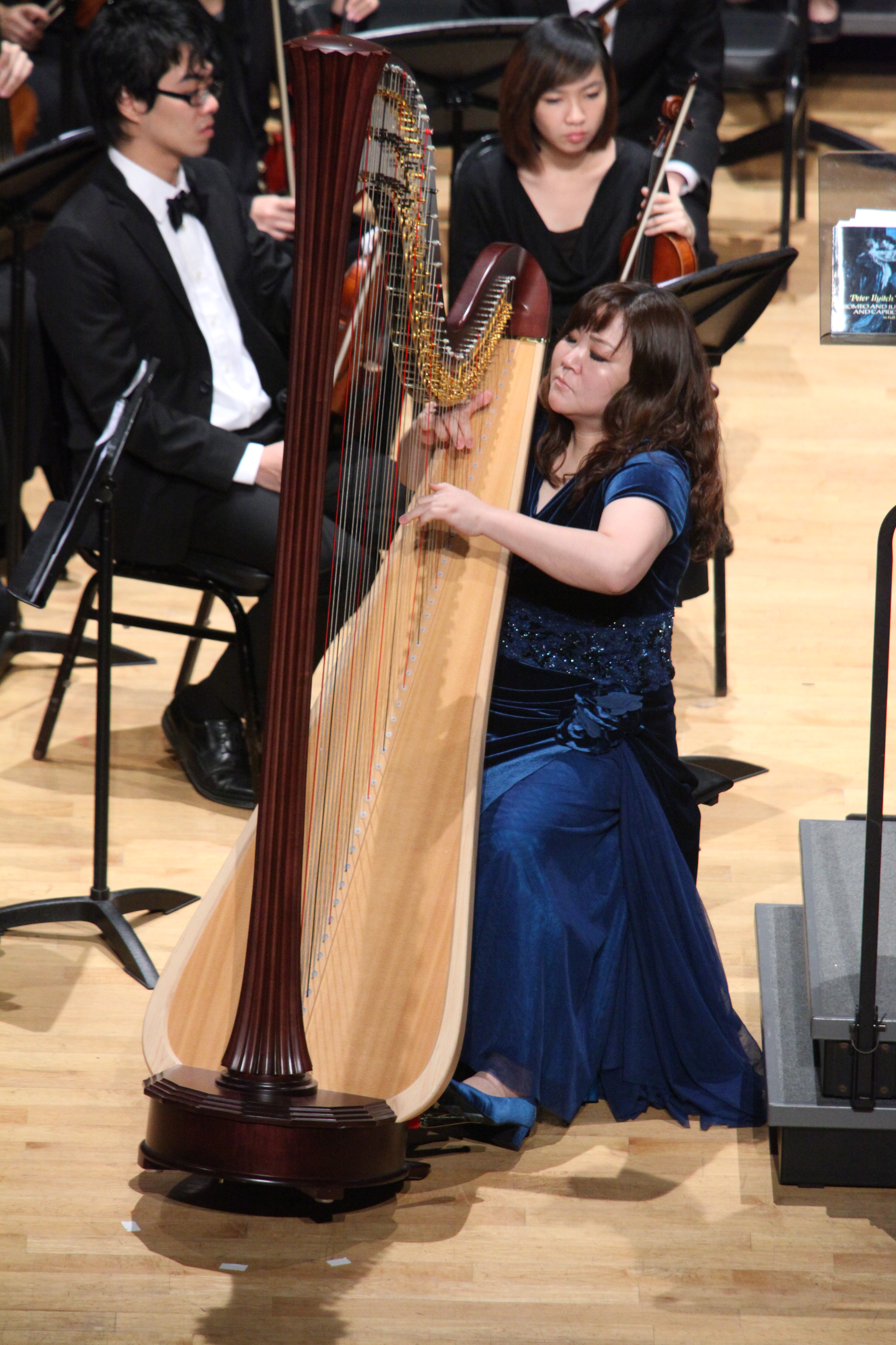 20101126Concert  The Golden Harp and The Blue Danube with the PolyU 1 P24