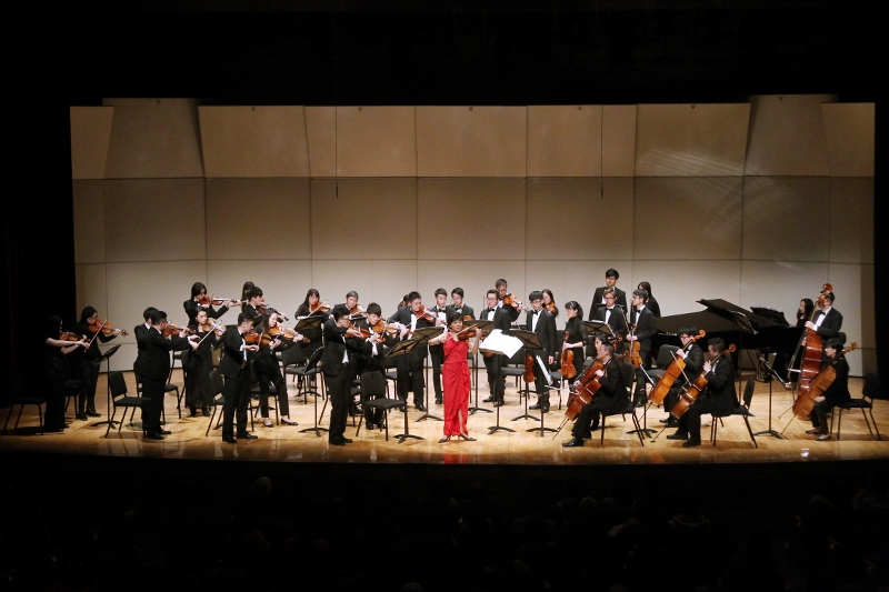 concert photo1 800x533