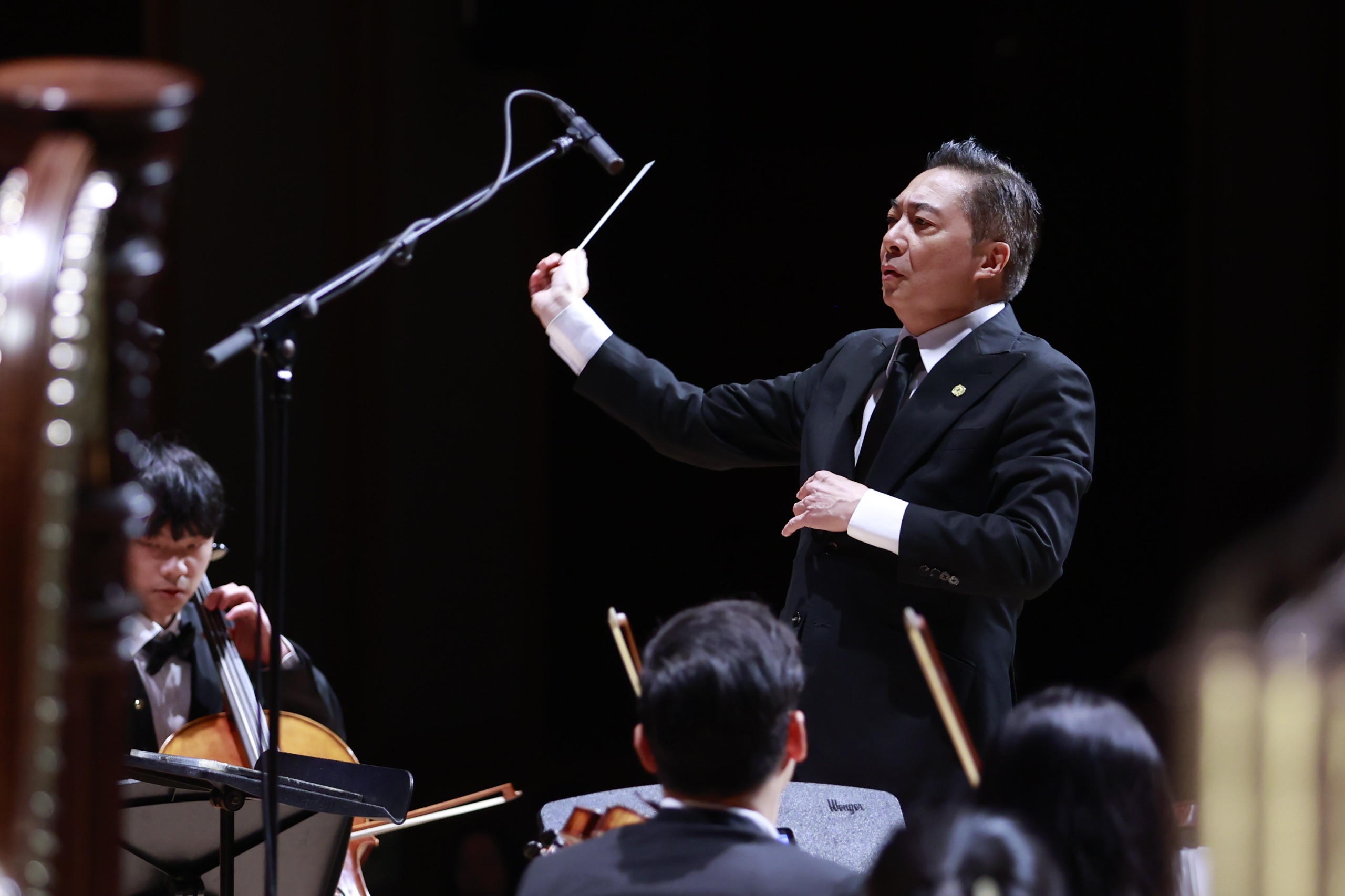 WhatsApp Image 20250212 at 181915