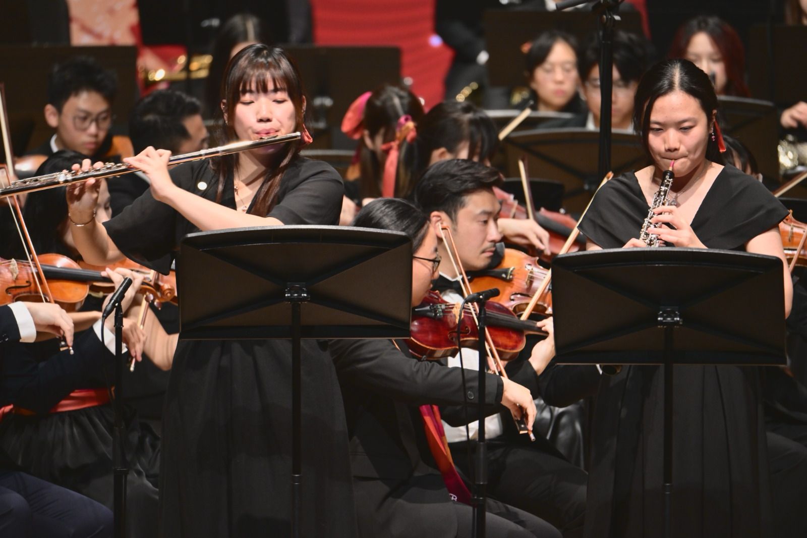 WhatsApp Image 20250212 at 185508