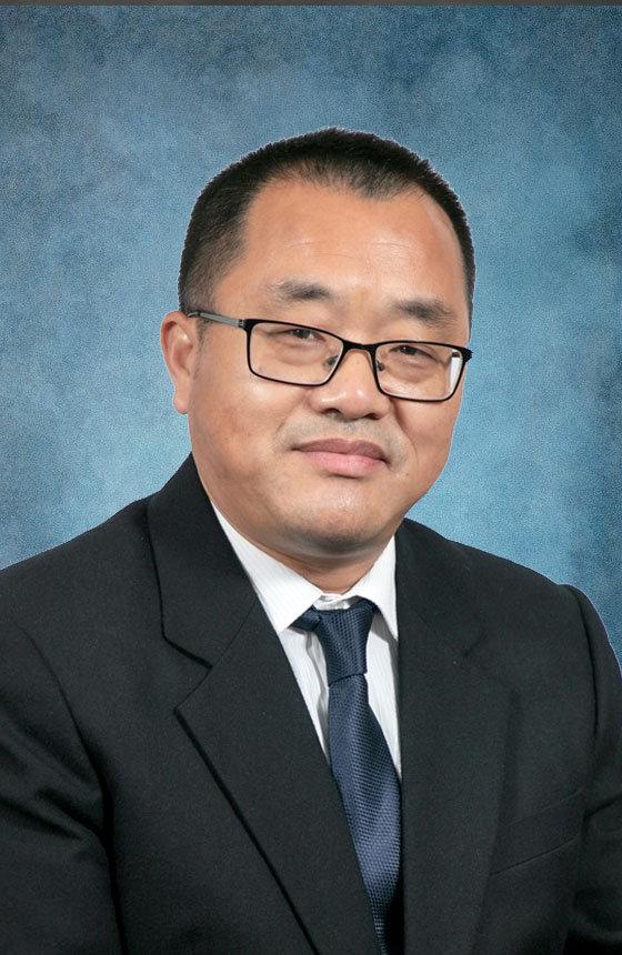 Prof. QI Houduo