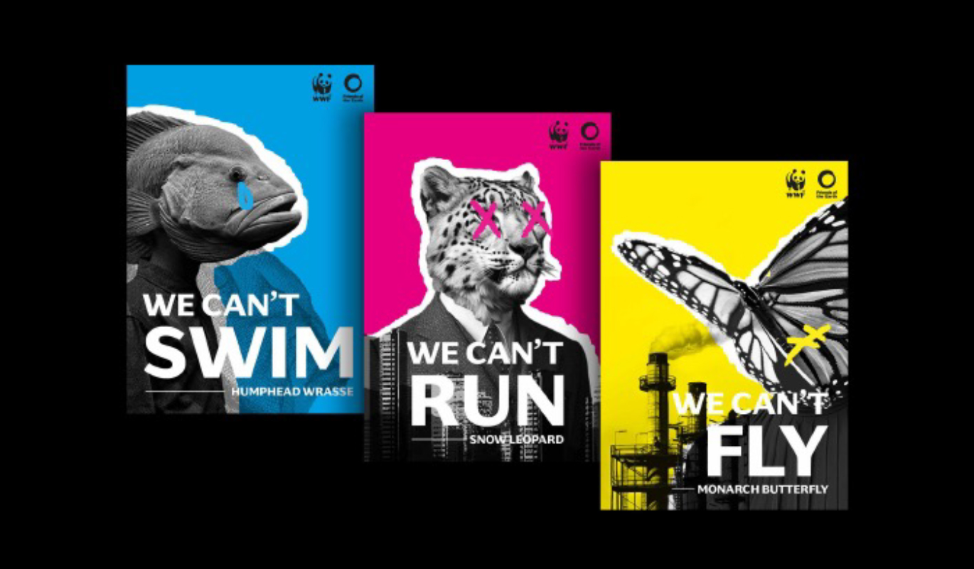 Student_work_5_SD_Team13