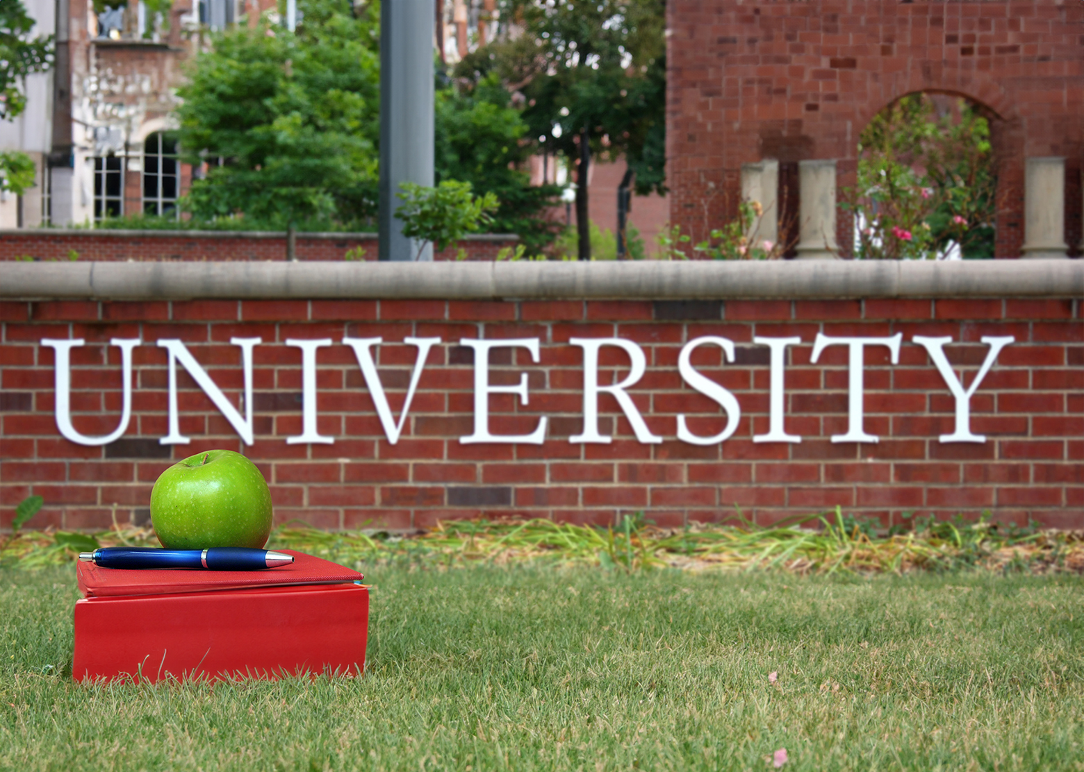 University_stance_image