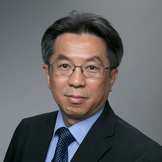 Prof Shea Ping YIP