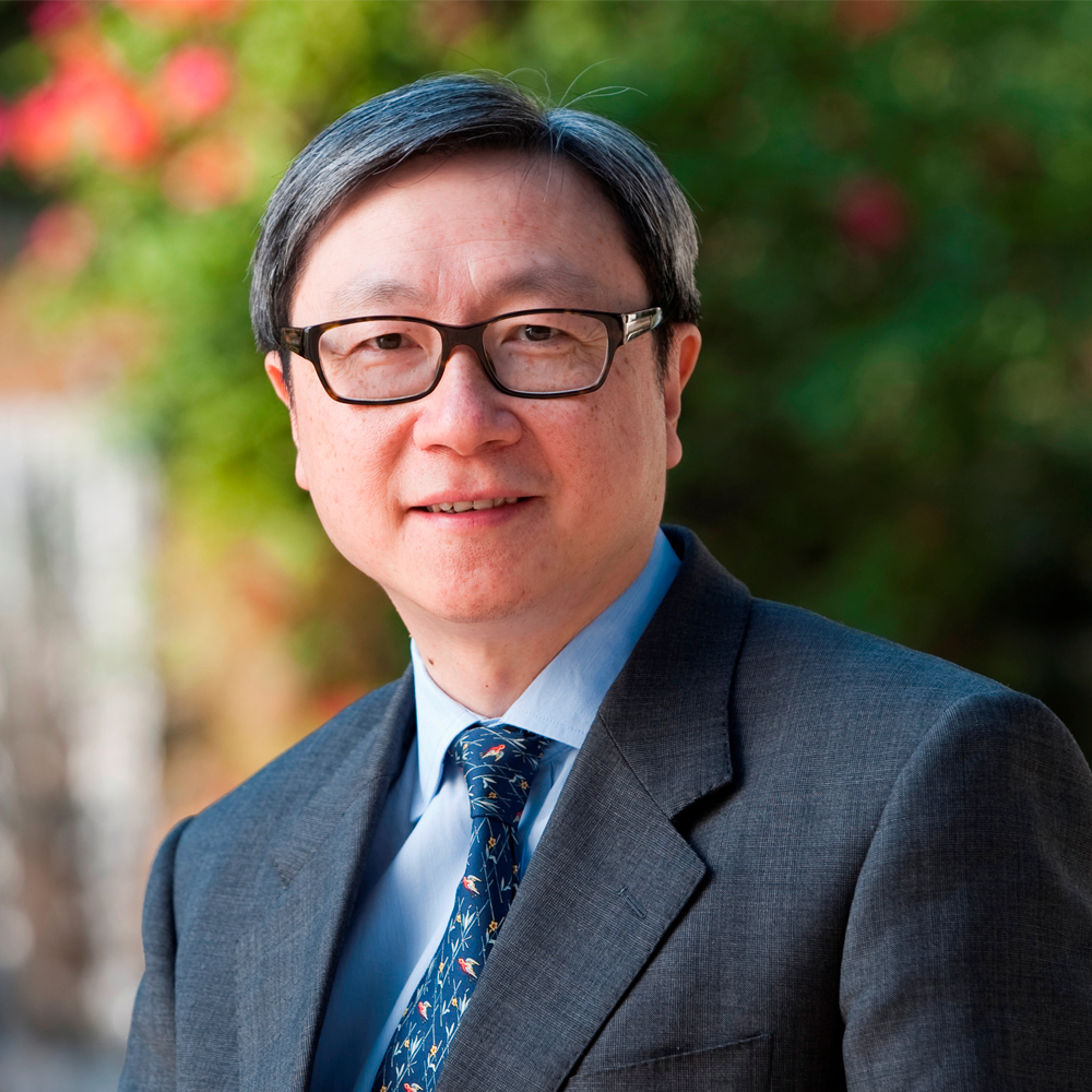 Professor Horace Ho Shing IP