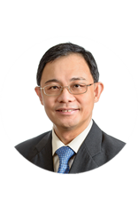 Professor Bernard TAN