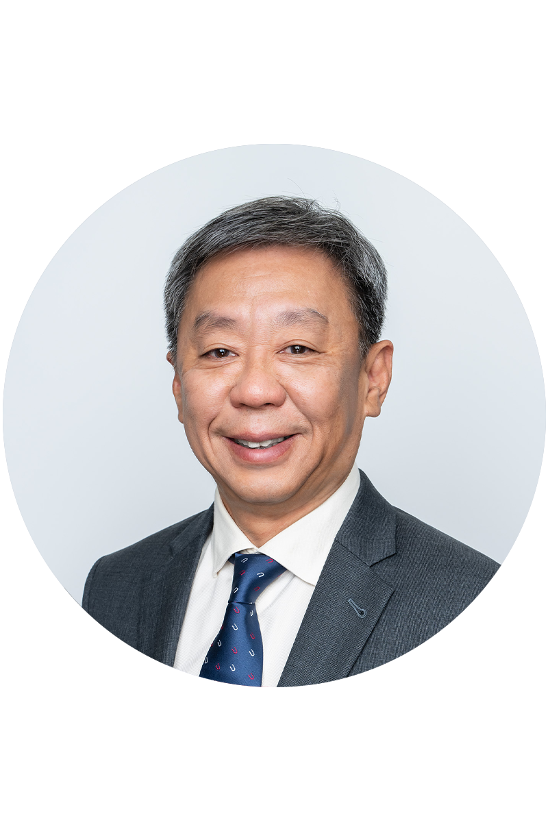 Professor Tai Yong TAN