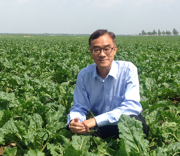 pic_Tony-Cheung---Sugar-Beet