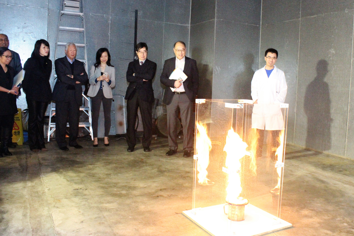 photo_9_20190108_1501368645