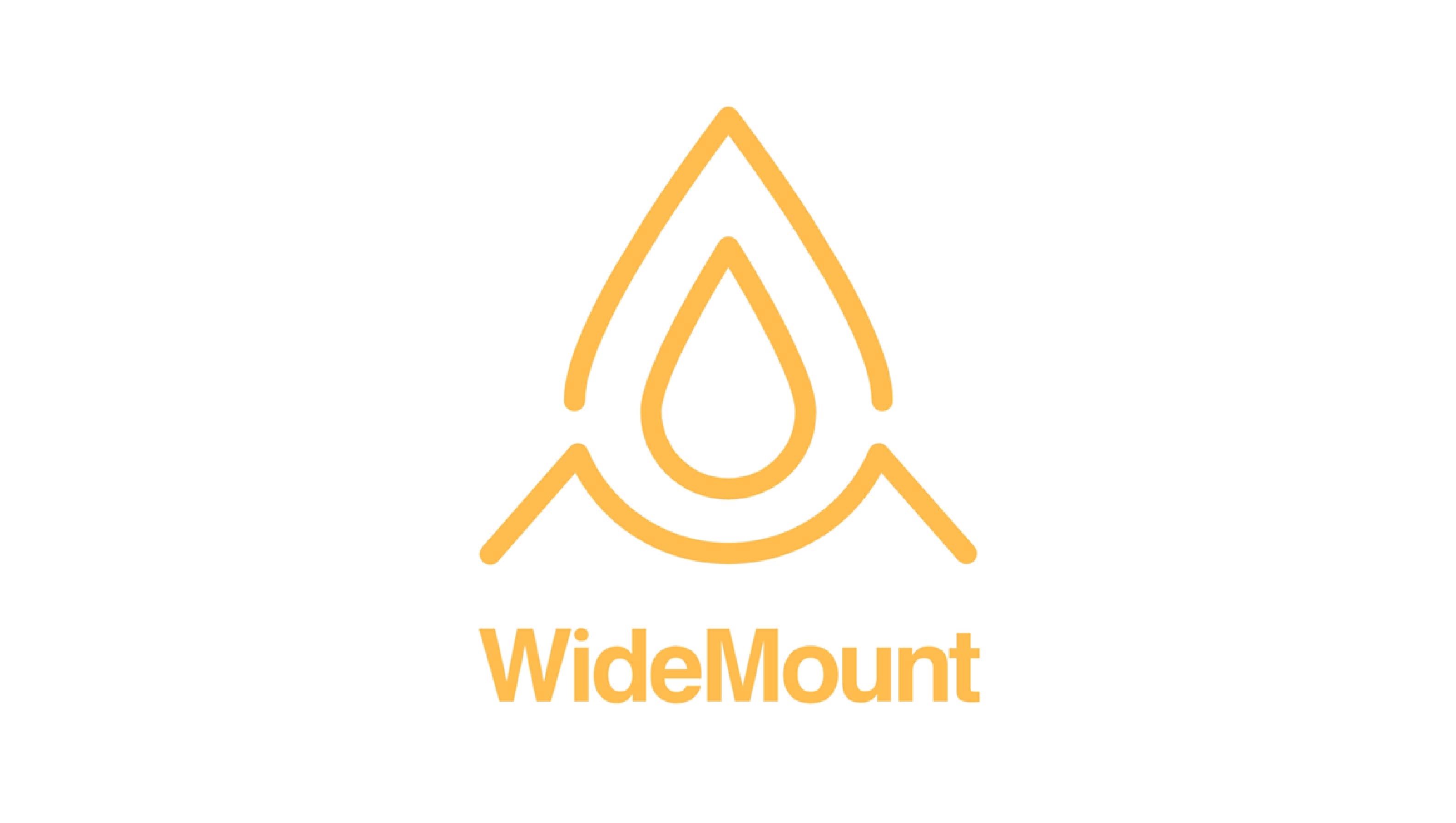 Logos_resize_5_Widemount Dynamics Tech Limited