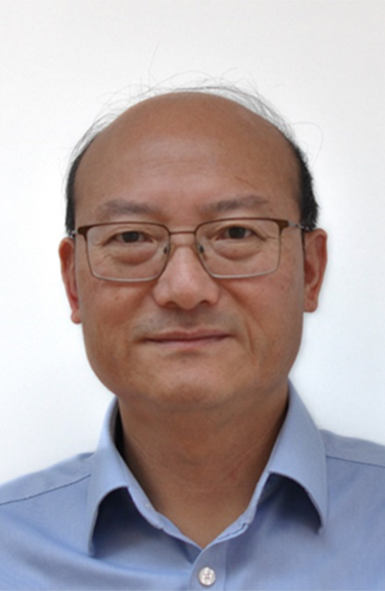 Professor Wen-Hua CHEN