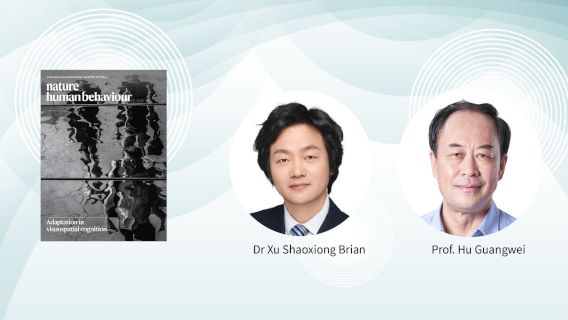 Publish in nature human behaviour_568x320