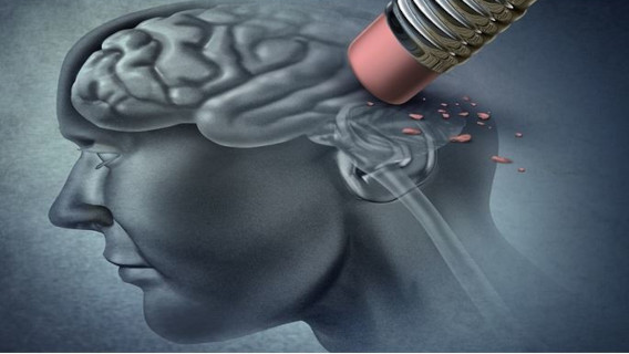 ImpactStory1_thumb568x320