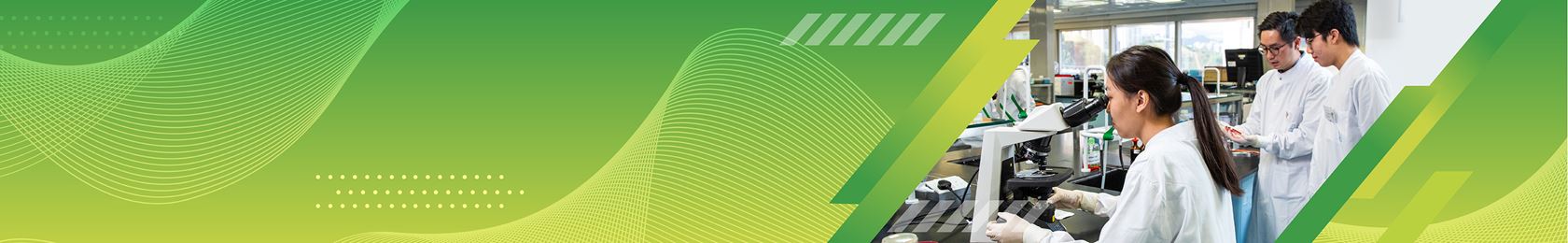 MLS_banner_1_type 2
