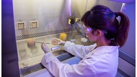 Biological Sciences
