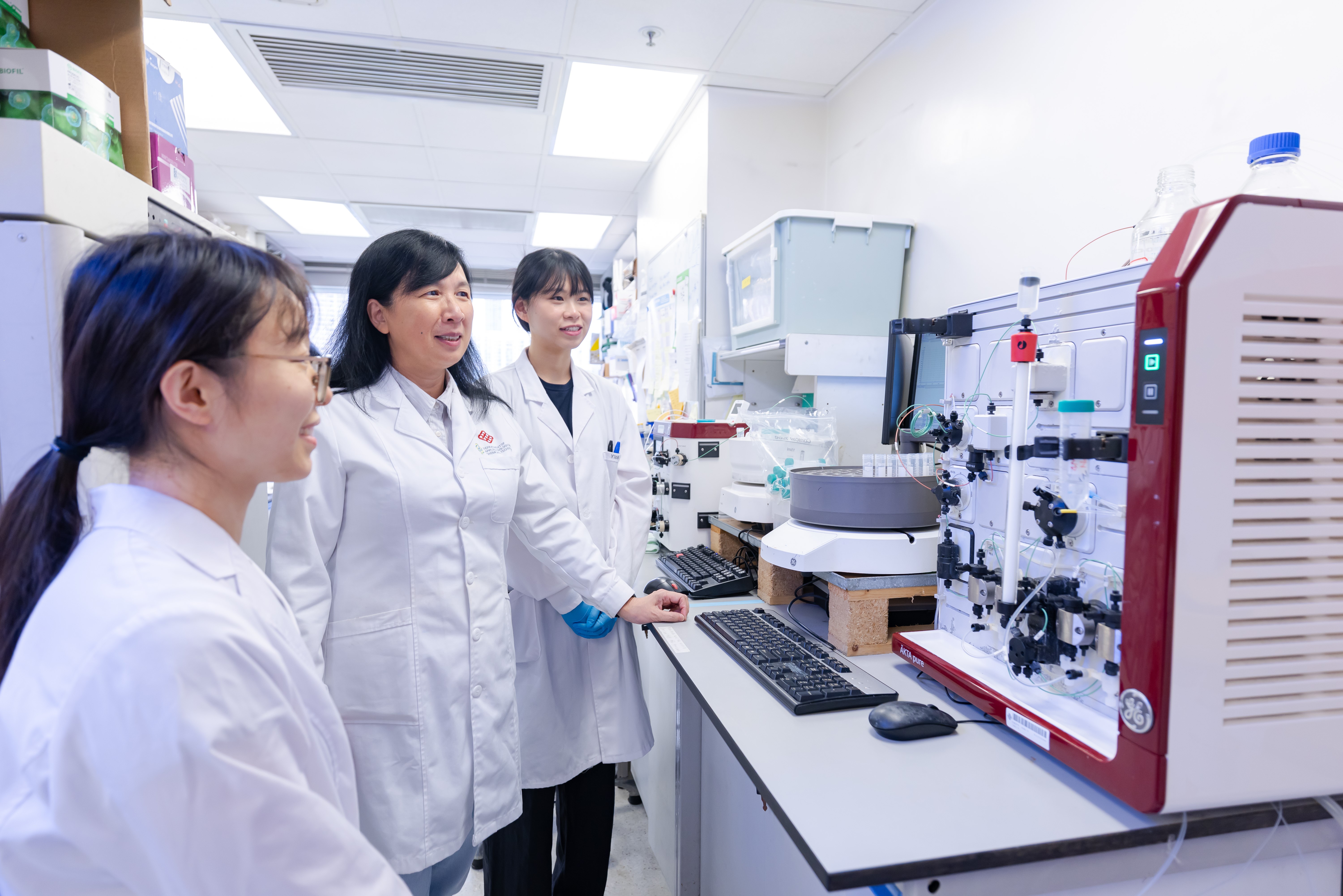 Prof Zhao Yanxianggroup