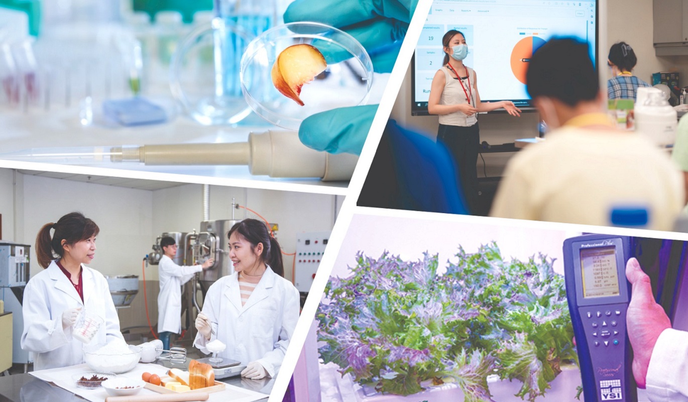 FSN research highlight