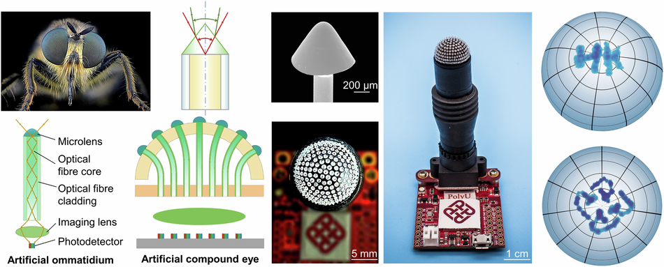 20240924Prof Zhang XumingACE