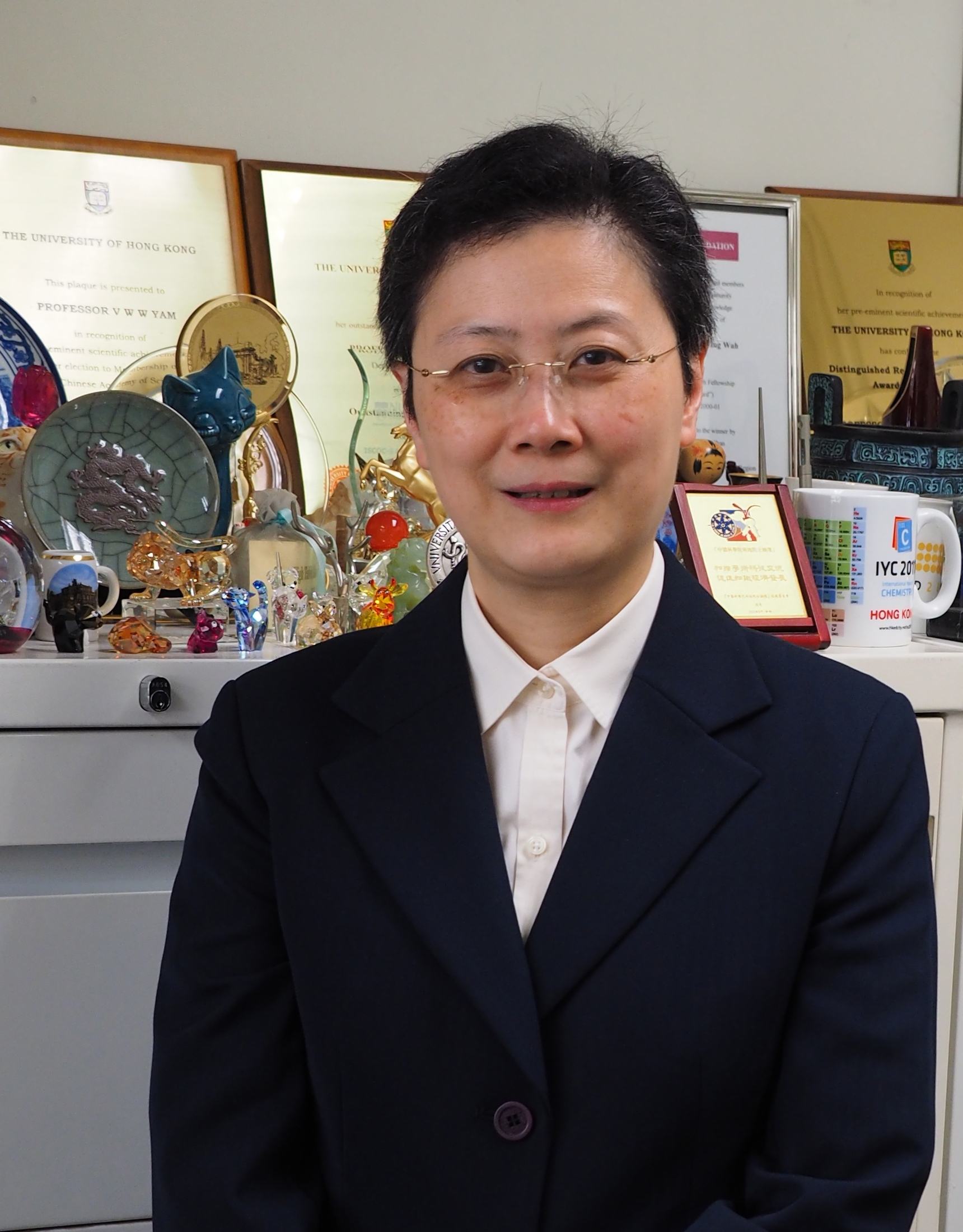 Prof. Vivian Wing-Wah YAM