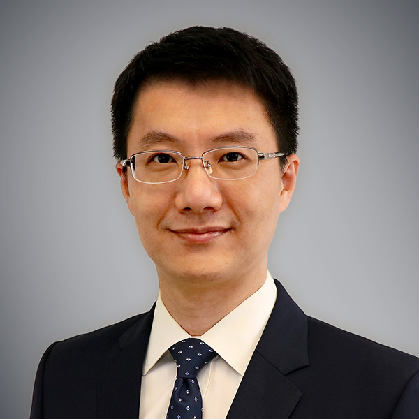 Prof. Tomas Palacios
