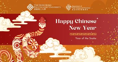 Chinese New Year - Website